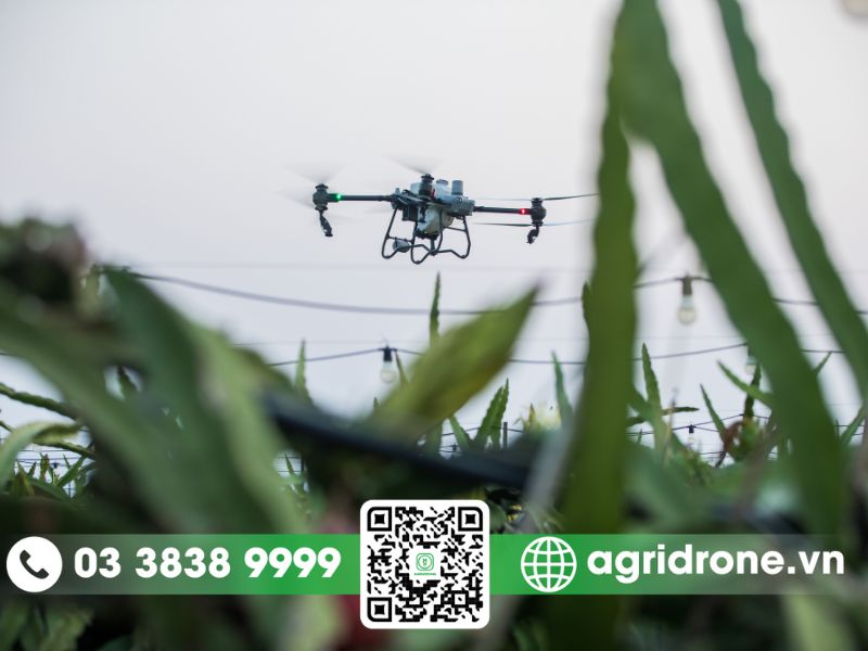 Máy bay phun thuốc Tiền Giang phòng trừ sâu bệnh cây ăn trái