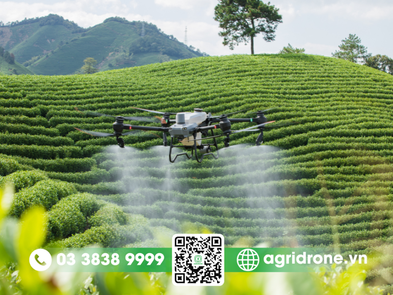 Ứng dụng phun thuốc trừ sâu bằng máy bay nông nghiệp