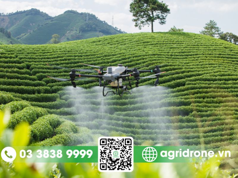 Hiệu quả vượt trội của máy bay phun thuốc bảo vệ thực vật