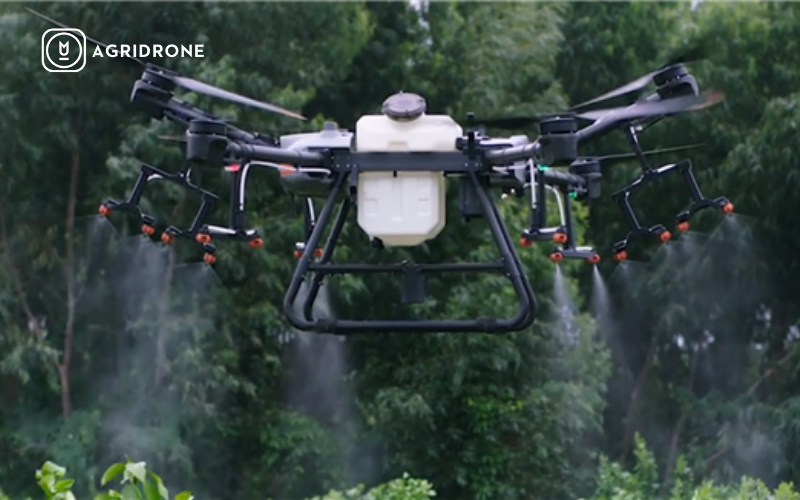 Review chi tiết máy bay nông nghiệp T30 của DJI