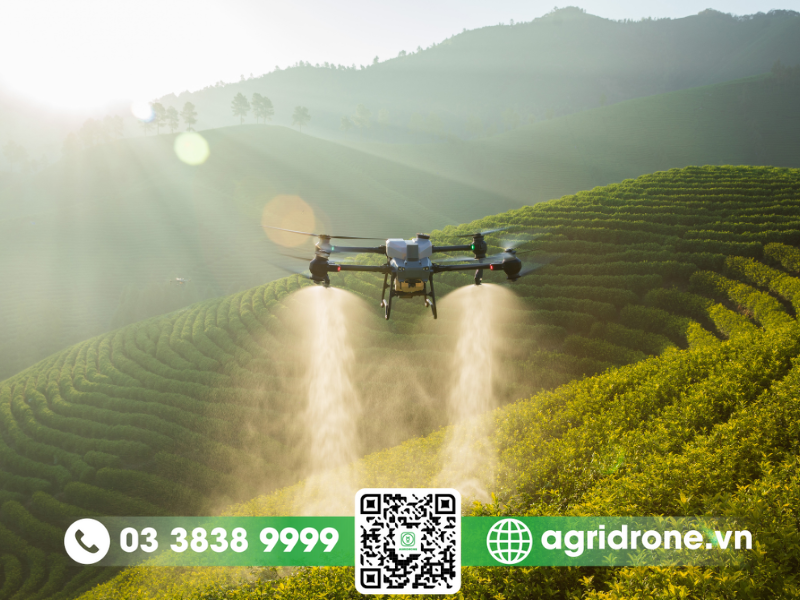 So sánh thông số cơ bản của DJI T50 và các thế hệ tiền nhiệm