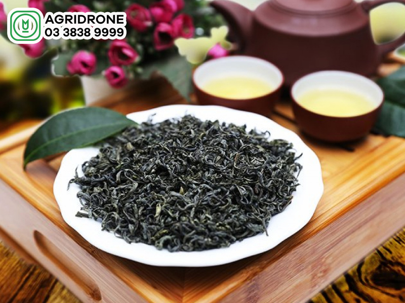 Giá chè khô, giá chè xanh hiện nay bao nhiêu?
