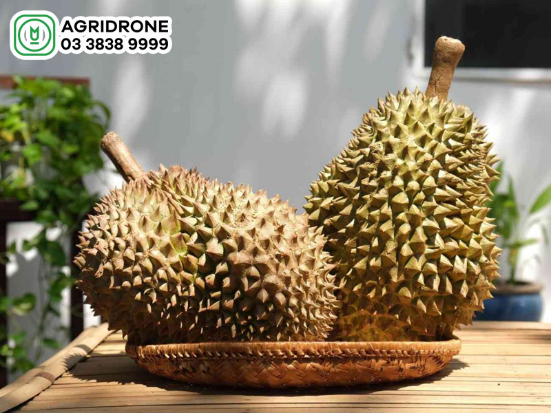 Cách làm sầu riêng nhanh chín không dùng hóa chất