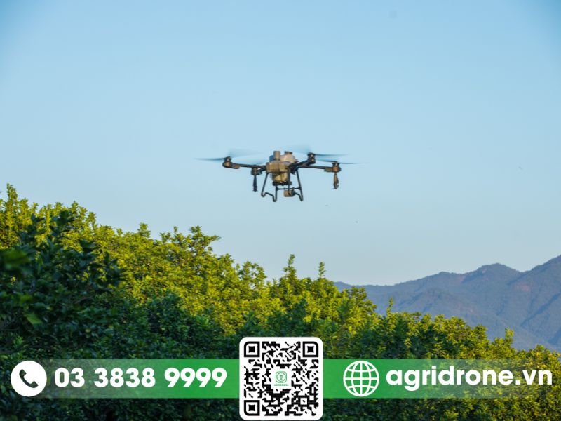 So Sánh DJI T25 Và DJI T30: Máy Bay Phun Thuốc Nào Hiệu Quả Hơn?