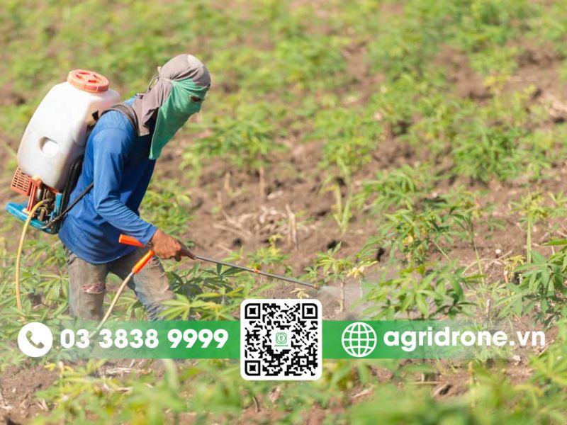 Tổng hợp phương pháp phun thuốc trừ sâu cho sắn an toàn và hiệu quả 1 Tại sao cần phun thuốc trừ sâu cho sắn đúng cách?