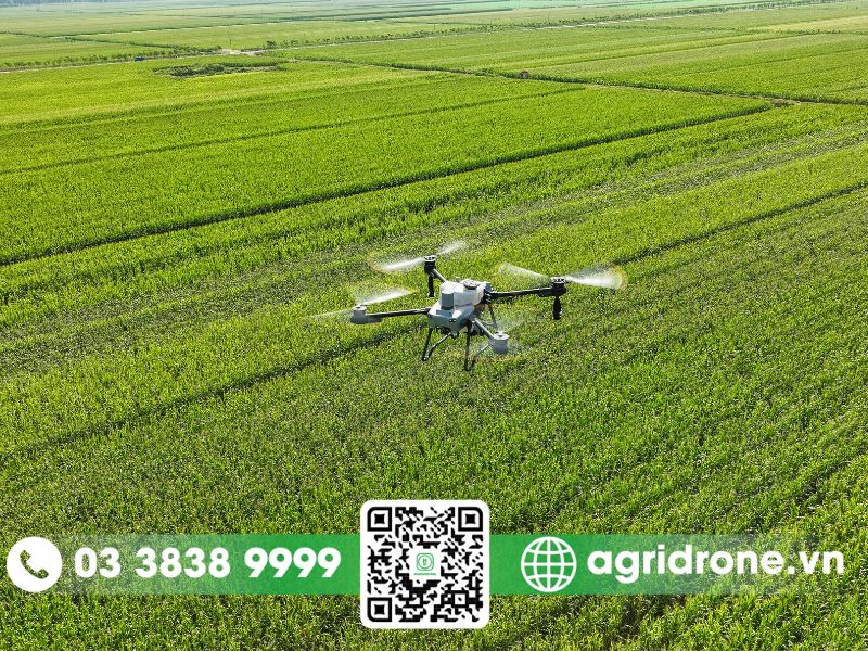 Phun thuốc bằng máy bay không người lái nông nghiệp 3 Các ứng dụng khác của máy bay không người lái trong nông nghiệp