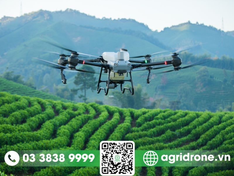 Top 5 địa chỉ bán máy bay nông nghiệp DJI Agras T50 chính hãng, uy tín nhất