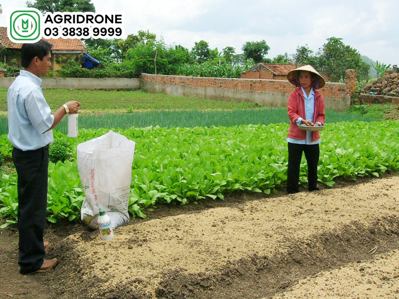 Thế nào là bón phân đúng & hợp lý?