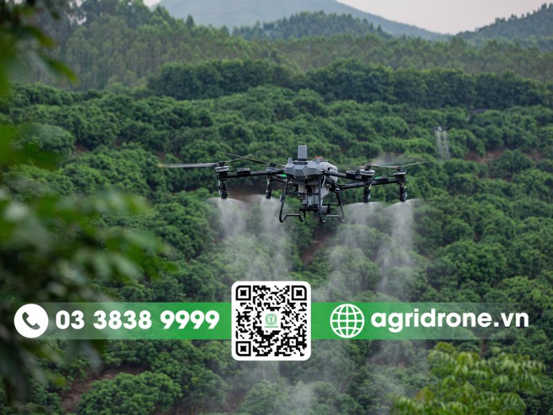 Hiệu suất hoạt động của DJI T70P và DJI T50