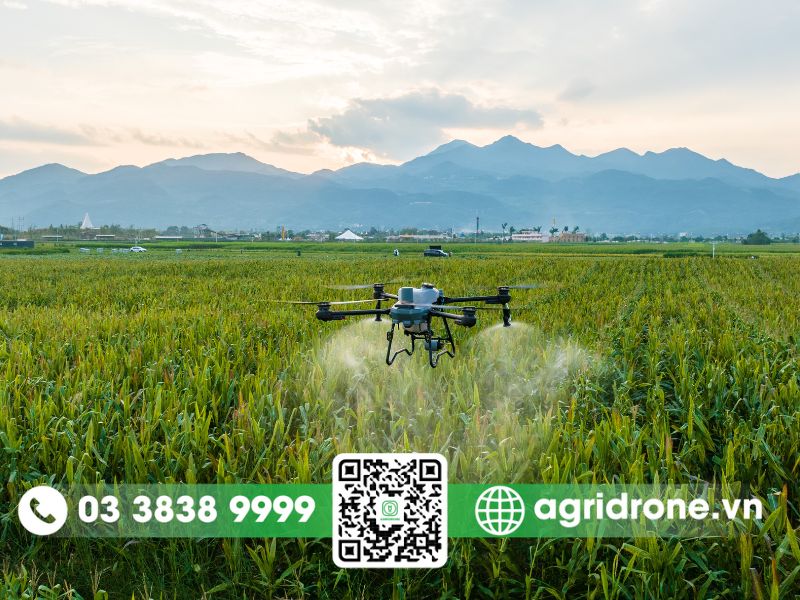 Tại sao nên lựa chọn đầu tư drone nông nghiệp DJI T25P?