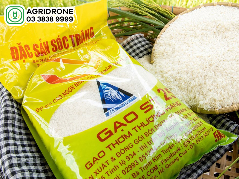 ky thuat canh tac giong lua st25 3