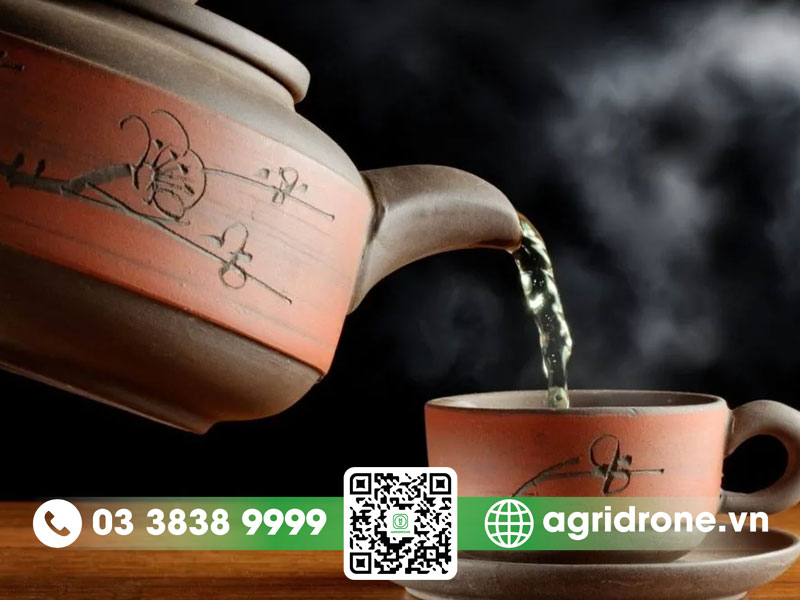 Cây chè dây có tác dụng gì đối với sức khỏe?