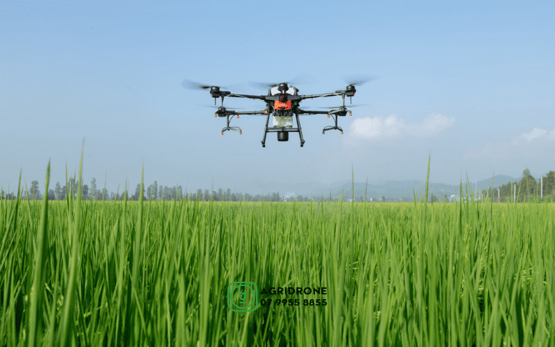 May-bay-phun-thuoc-tru-sau-T20