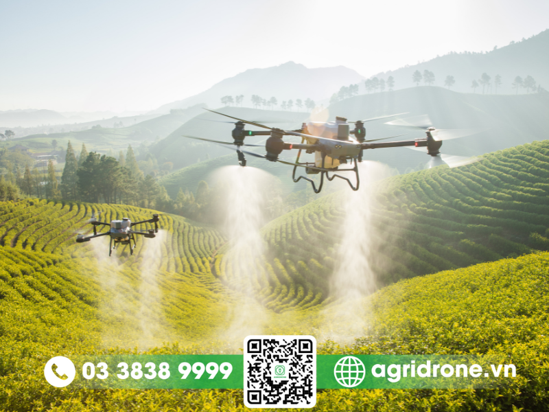 Các loại máy bay nông nghiệp phổ biến