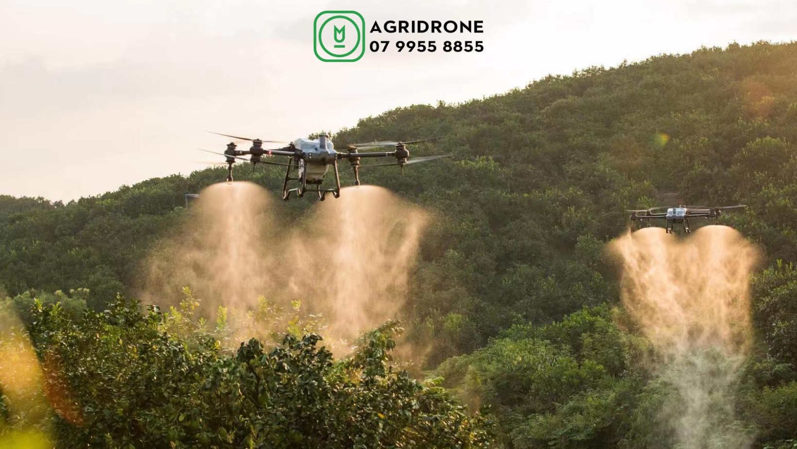 Hướng dẫn sử dụng máy bay phun thuốc sạ lúa rải phân DJI T20P