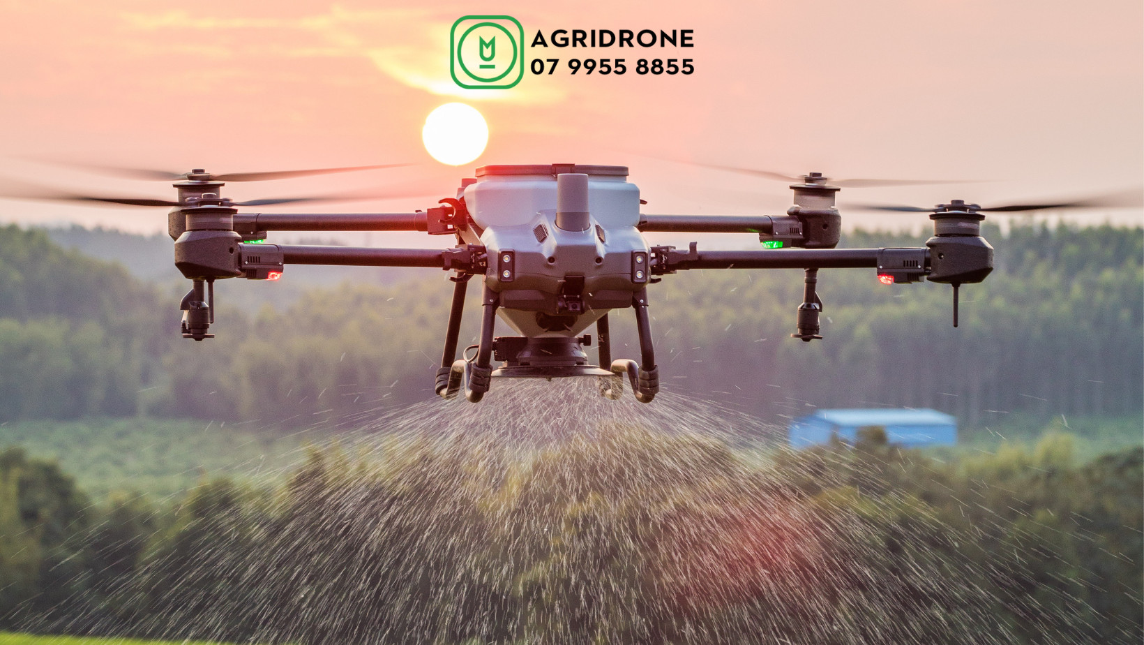 DJI T20P