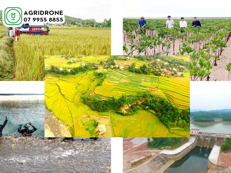 Máy bay phun thuốc Quảng Ninh