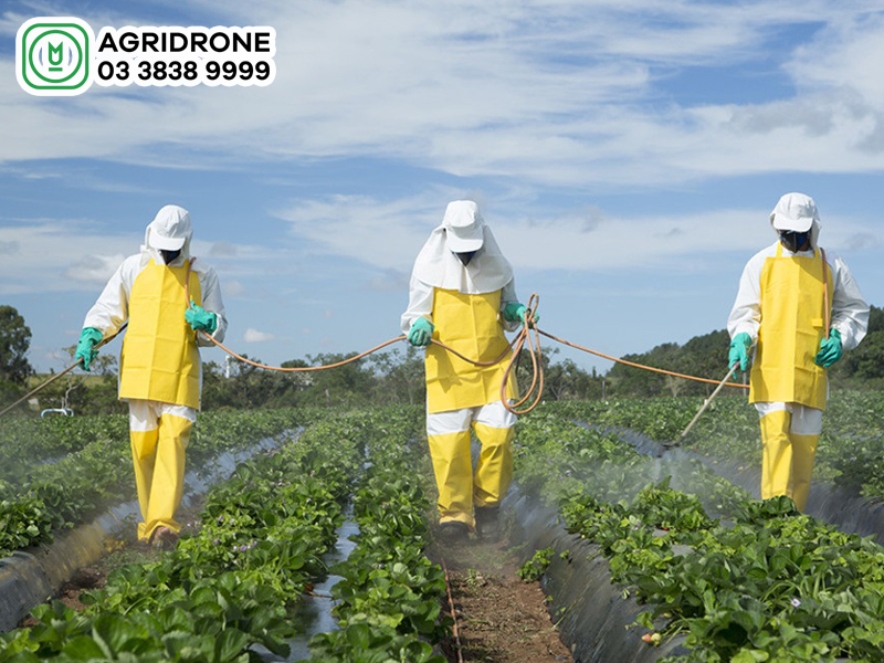 Thuốc trừ sâu bệnh sinh học là gì?