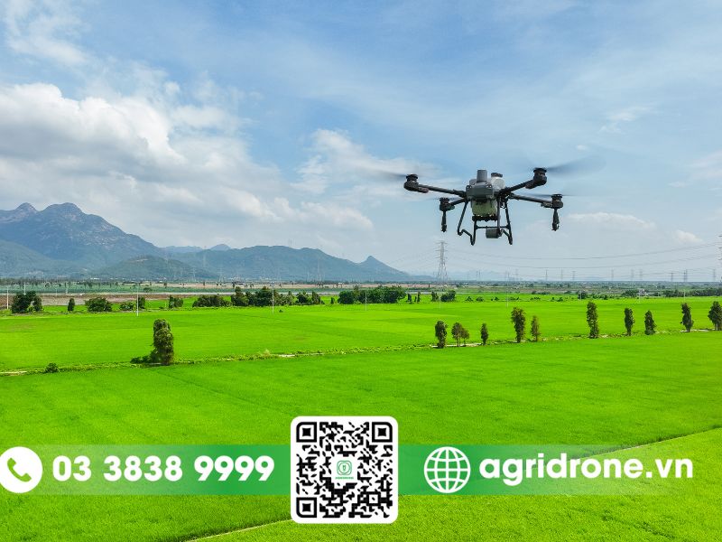 Máy bay phun thuốc điều khiển từ xa cho nông nghiệp hiện đại 