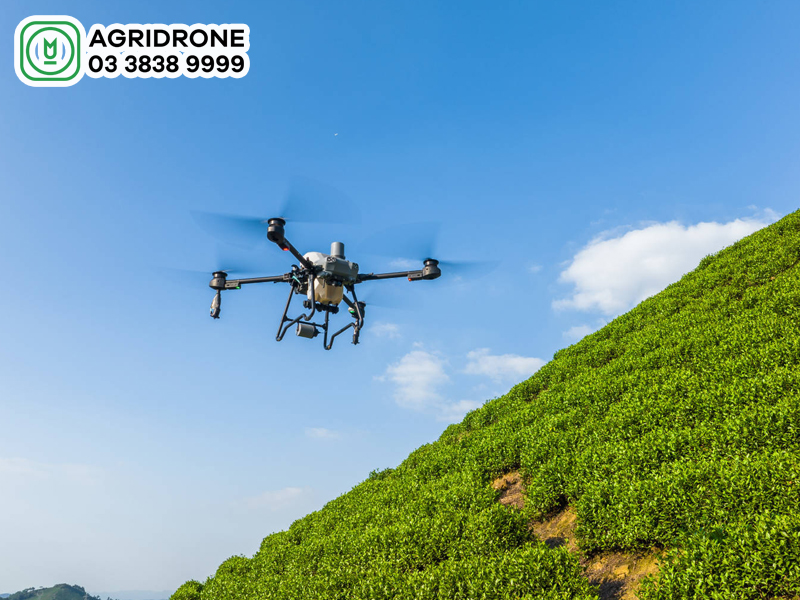 tu van may bay phun thuoc sa lua rai phan dji t25 1