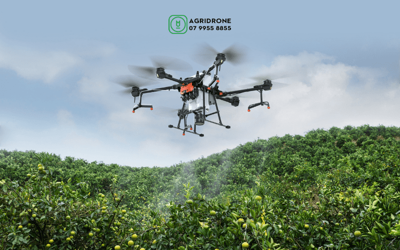 May-bay-xit-thuoc-DJI-Agras-T20