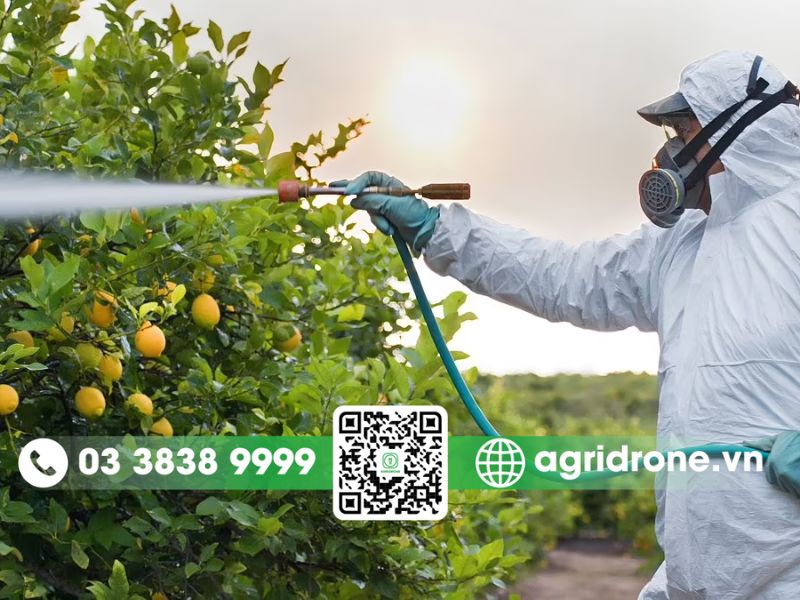 Tổng hợp các phương pháp phun thuốc trừ sâu cho cây cam