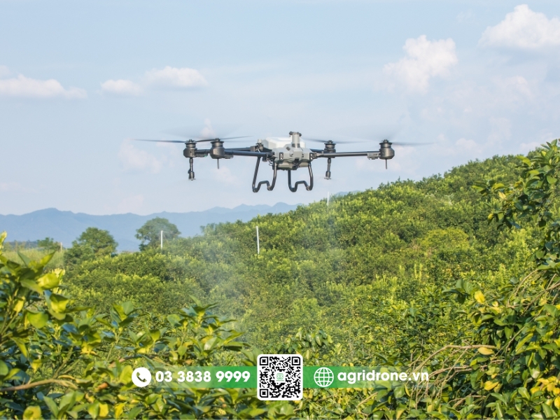 Máy bay phun thuốc DJI T20P