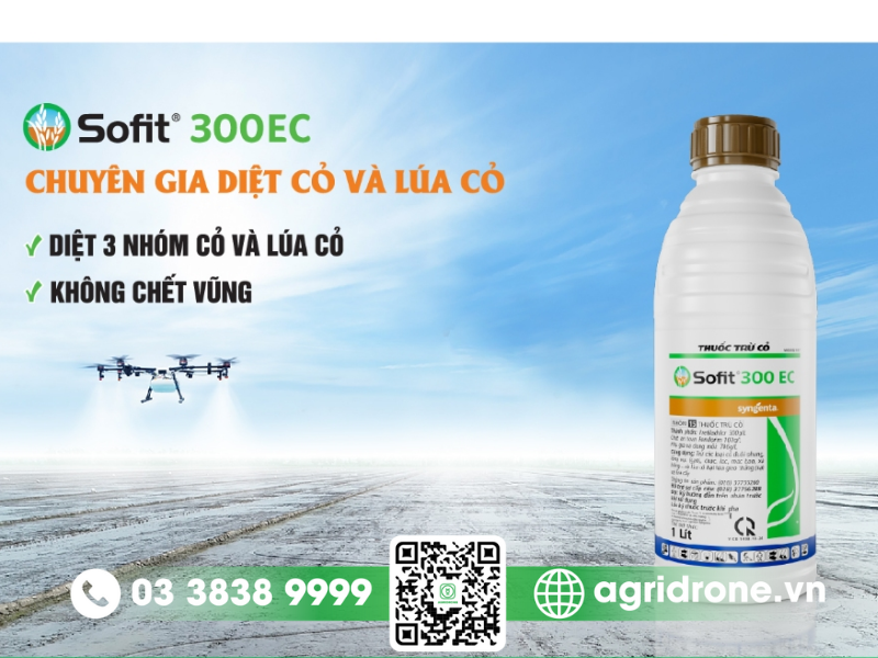 Giải pháp phun thuốc trừ cỏ Sofit 300EC bằng máy bay phun thuốc