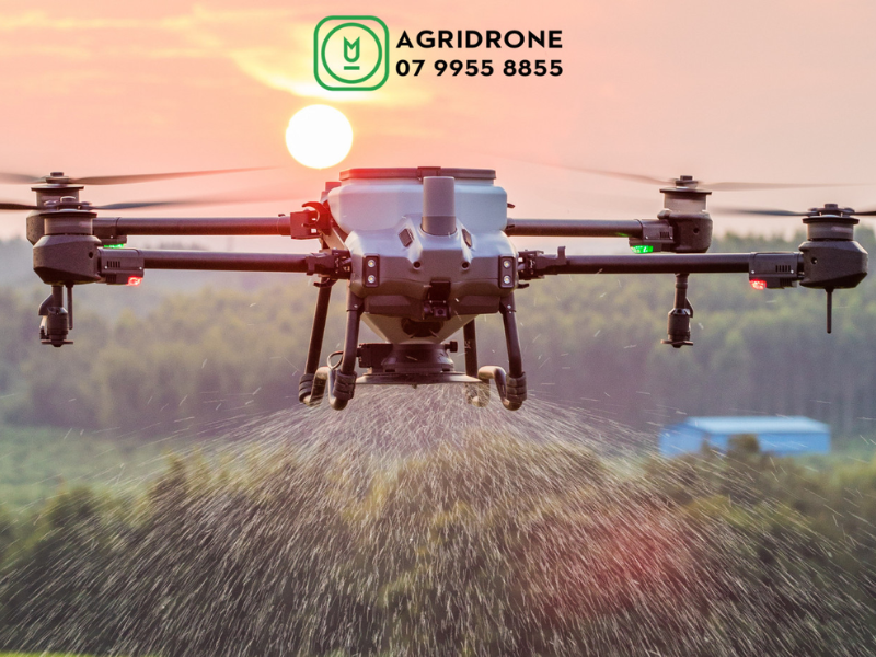 Giá máy bay nông nghiệp T10 của DJI bao nhiêu?