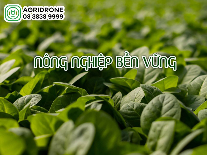nong nghiep ben vung 01