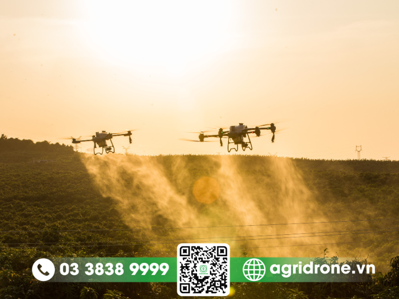 giải pháp thay thế và phát triển bền vững bằng máy bay nông nghiệp