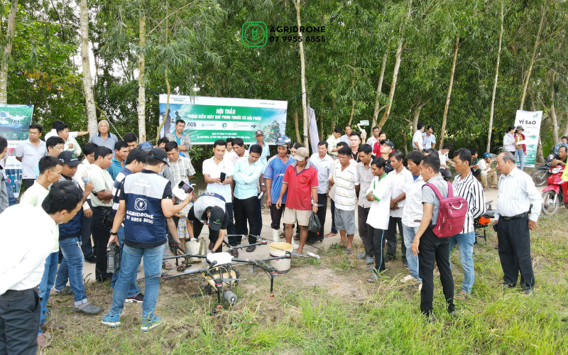 May-bay-phun-thuoc-va-rai-phan-tren-lua-tai-huyen-Go-Quao