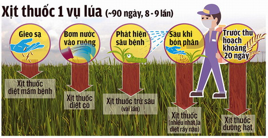xit-thuoc-mot-vu-lua