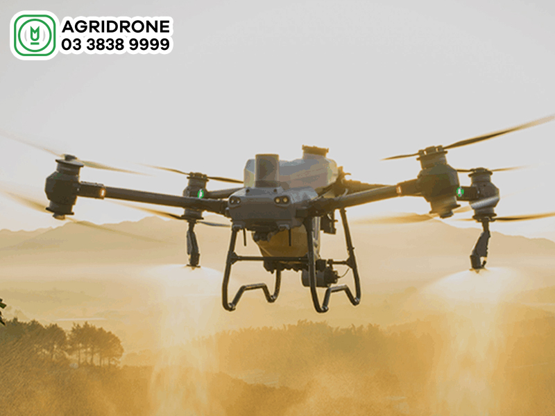 review may bay sa lua rai phan dji agras t50 2