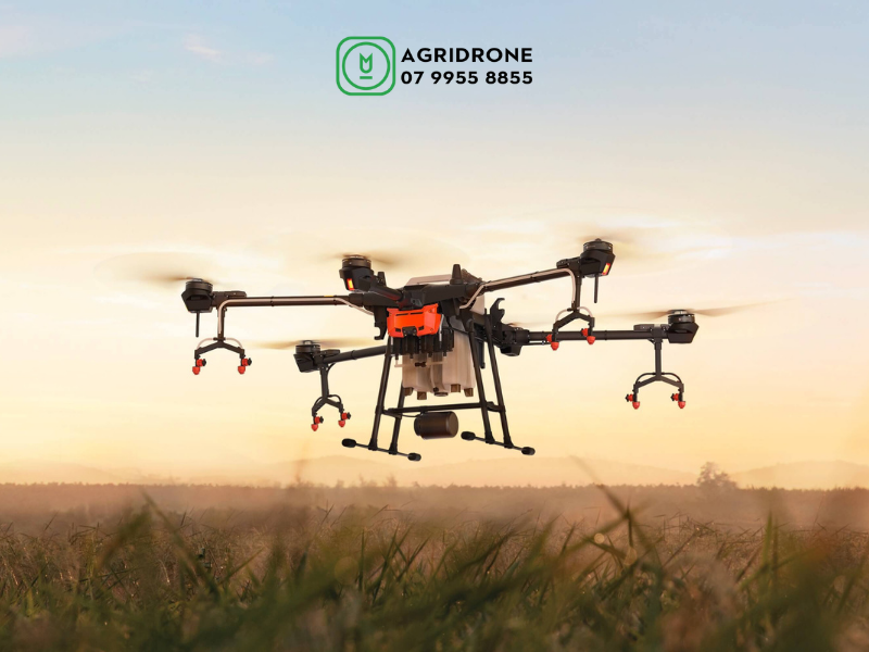 Giá máy bay phun thuốc DJI Agras T16