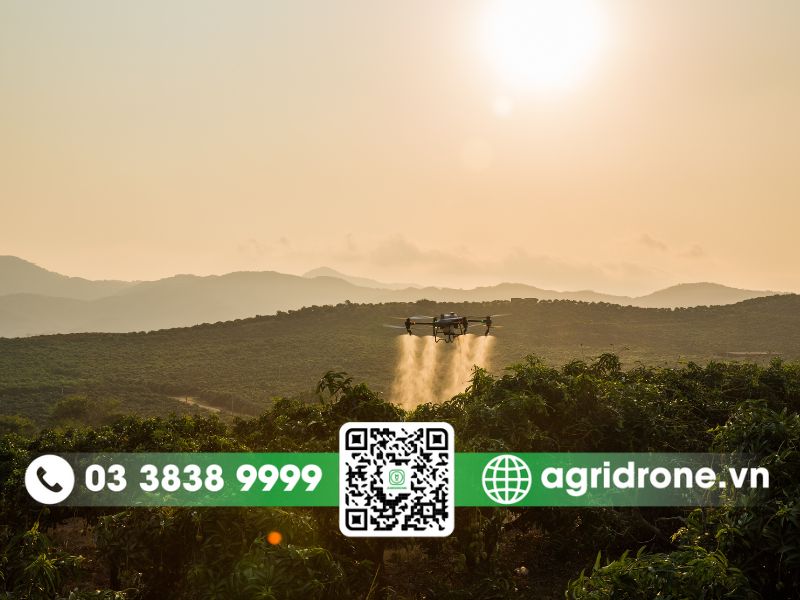 Dịch vụ phun thuốc Bình Dương cho cây cao su, cây ăn quả 2 Xu hướng ứng dụng máy bay phun thuốc điều khiển từ xa