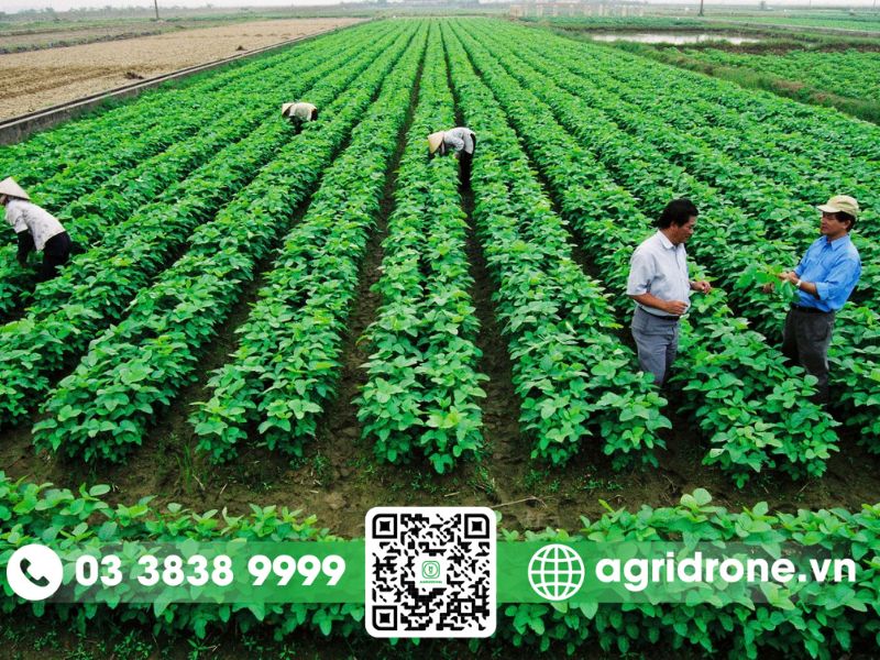 4 yếu tố thúc đẩy sự phát triển của máy bay không người lái 1 Sự phát triển của thời đại, chuyển đổi số và công nghệ 4.0
