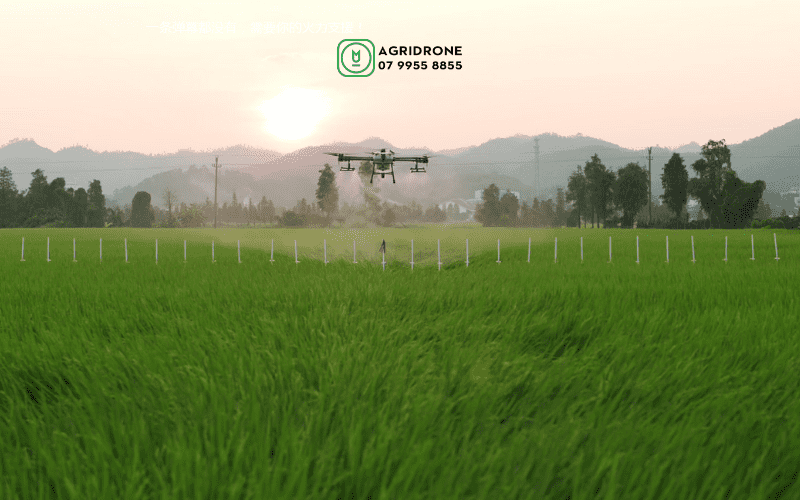 Phun thuốc trừ sâu vào lúc nào?
