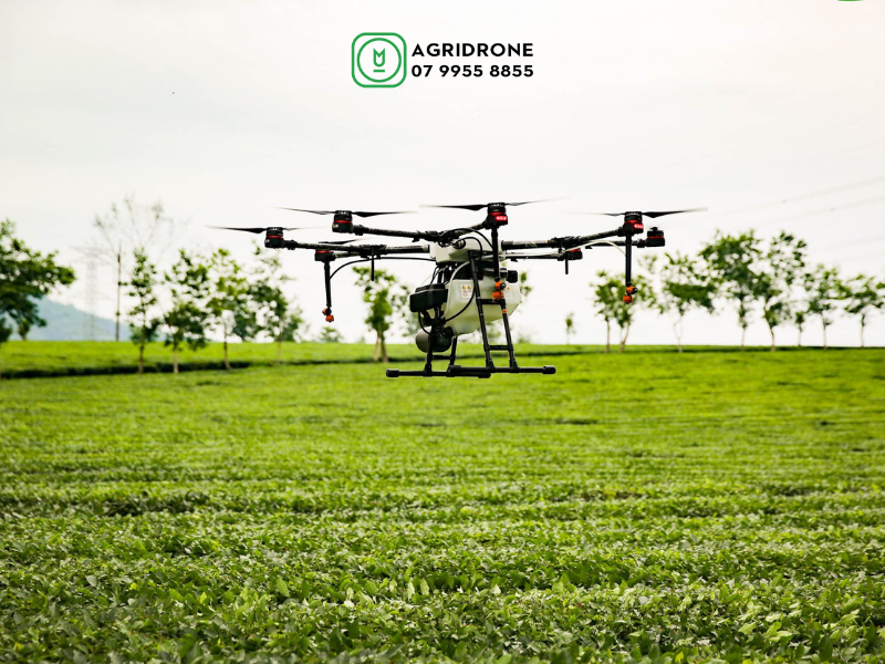 may bay phun thuoc