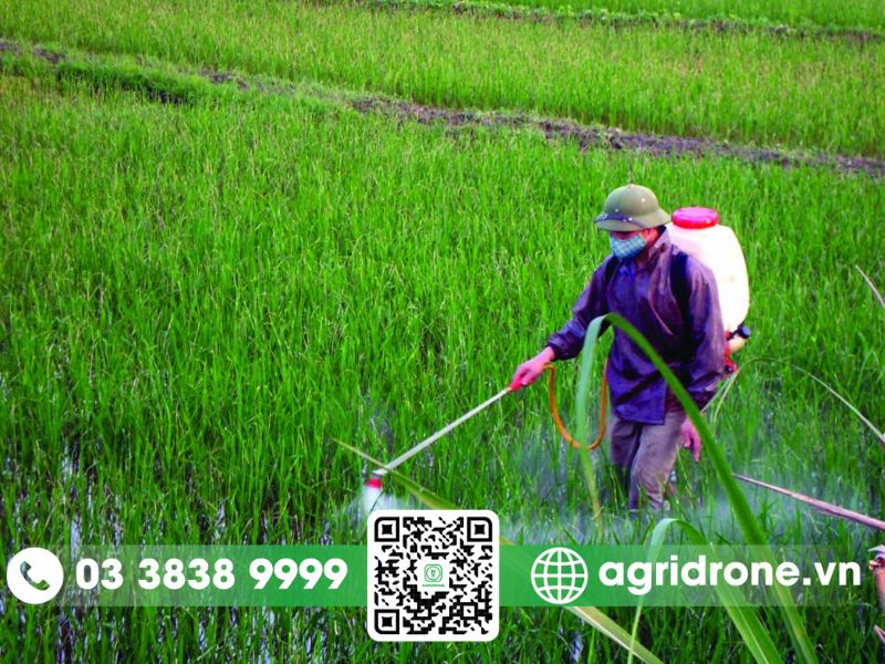 Top 5 máy phun thuốc trừ sâu chạy điện tốt nhất cho cây trồng 3 Ưu và nhược điểm của máy phun thuốc trừ sâu chạy bằng điện
