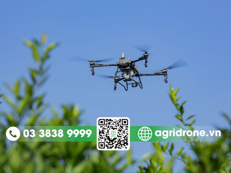 Giới thiệu về drone nông nghiệp T70P mới ra mắt của DJI