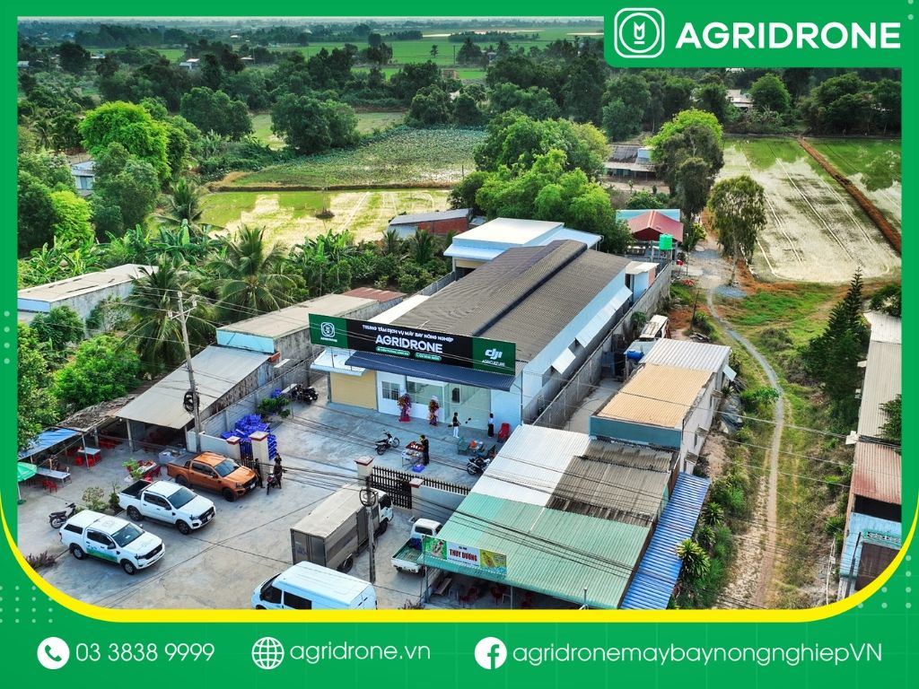 TÁCH TRÀ GỪNG ẤM LÒNG NGÀY MƯA GIÓ
