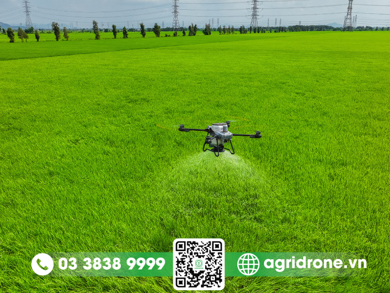 Máy bay phun thuốc tại Gia Lai giúp bảo vệ môi trường