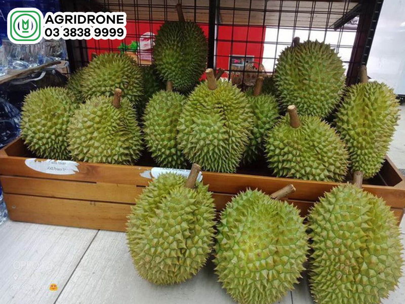 Giá sầu riêng khổ qua hôm nay bao nhiêu?