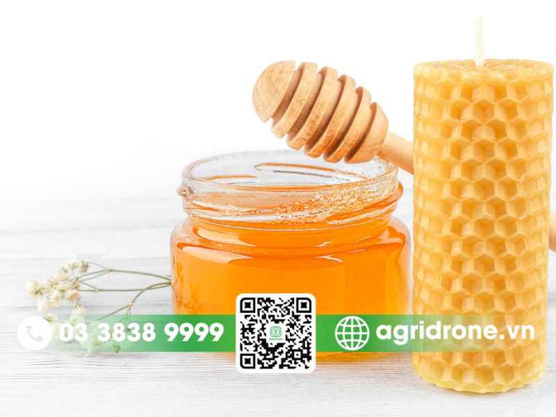 Mật ong hoa cà phê có công dụng gì? 3 Lưu ý quan trọng khi sử dụng và bảo quản