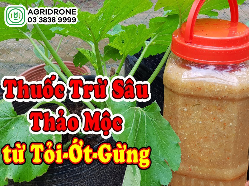 Tên các loại thuốc trừ sâu sinh học phổ biến hiện nay