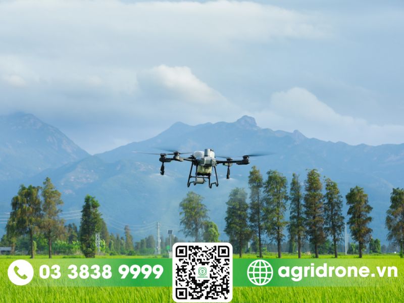 So sánh DJI T20P và DJI T25: Sự khác biệt và ưu nhược điểm của mỗi loại