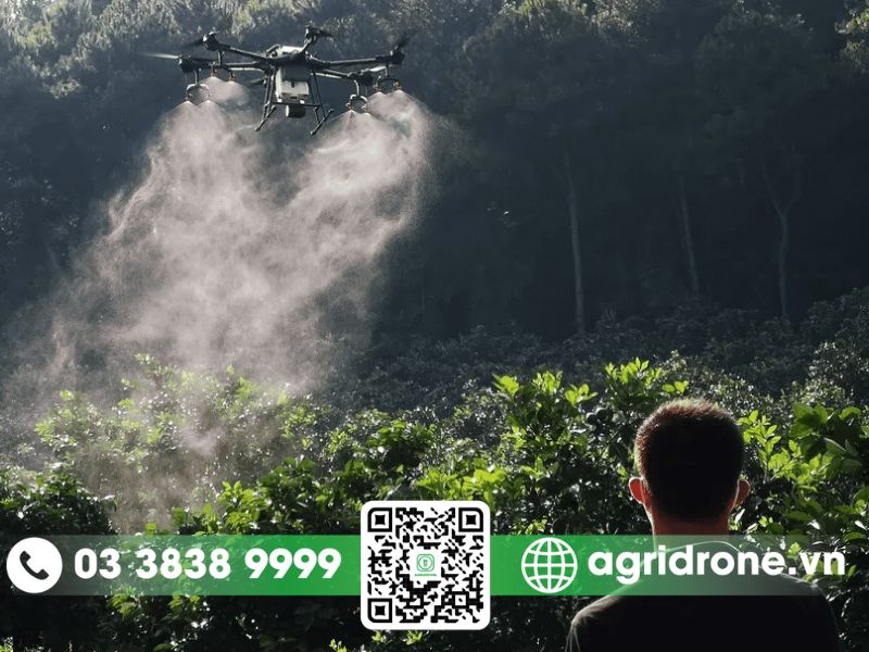 Có nên đầu tư máy bay phun thuốc cây ăn quả không?