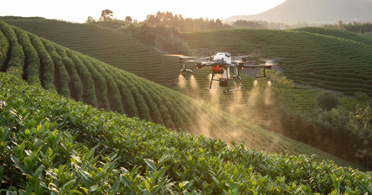 Phun thuốc trừ sâu vào lúc nào? 1 may-bay-phun-thuoc-tru-sau-dji-agras-t20