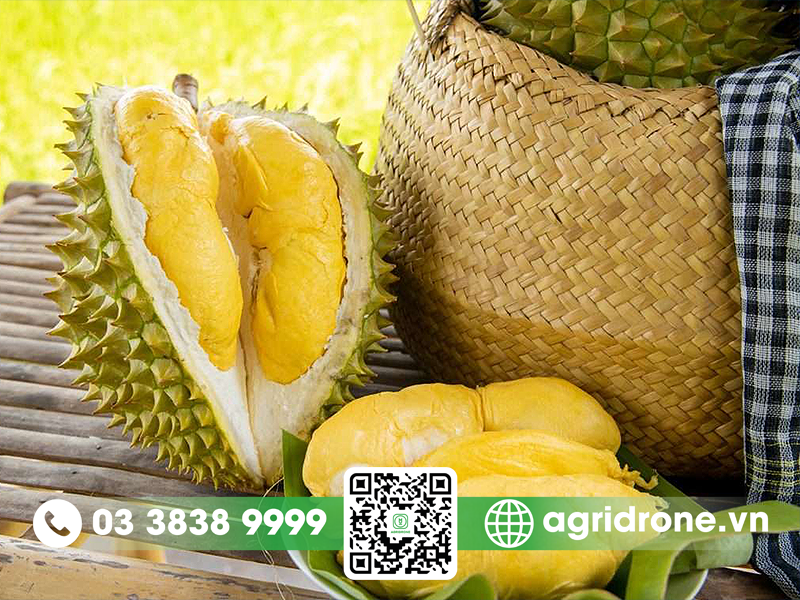 1kg-sau-rieng-duoc-bao-nhieu-com